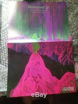 DINOSAUR JR Give A Glimpse Of What Yer Not CLEAR Vinyl blue7 SIGNED Band Poster