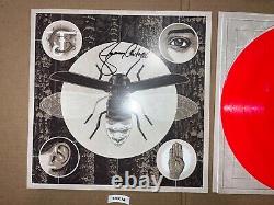 Dirt Alice In Chains Jerry Cantrell Signed Autographed Vinyl Record LP Brighten