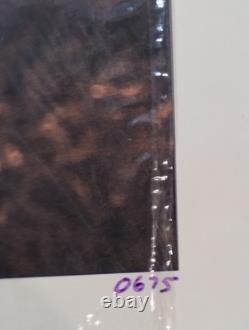 Duane Betts (SIGNED) Sketches Of American Music