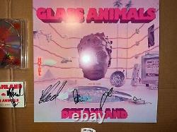 Glass Animals Signed Autographed Vinyl Record LP CD Cassette Combo Dreamland