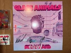 Glass Animals Signed Autographed Vinyl Record LP CD Cassette Combo Dreamland