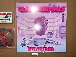 Glass Animals Signed Autographed Vinyl Record LP CD Cassette Combo Dreamland