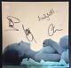 Signed Beady Eye 12 Inch Vinyl Insert