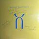 Signed King Crimson -three Of A Perfect Pair Lp First Press Vinyl Record Belew