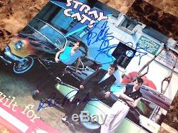 The Stray Cats Signed Vinyl Record Brian Setzer Slim Jim Phantom Lee Rocker COA