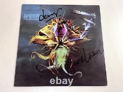 WEEN Mollusk SIGNED LP Used! 2010 Plain 180G GREEN VINYL AUTOGRAPHED GENE + DEAN